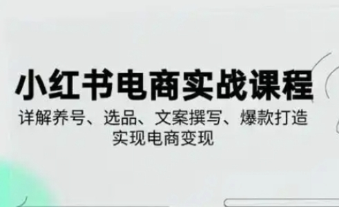 小红书从0-1实操课(2023-2025),详解养号、选品、文案撰写、爆款打造实现电商变现-创业联盟