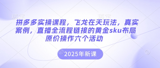 拼多多实操课程,飞龙在天玩法,真实案例,直播全流程链接的黄金sku布局原价操作六个活动-创业联盟