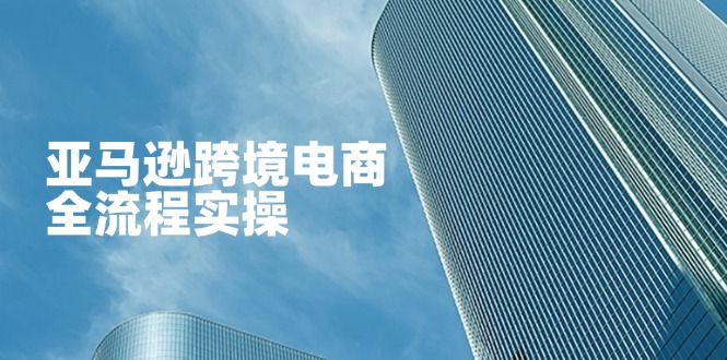 (14252期)亚马逊跨境电商全流程实操,教你从零开始,掌握店铺运营与广告技巧-创业联盟