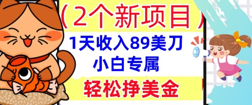 2个新项目,轻松挣美金, 1天收入89美刀,小白专属,干货分享-创业联盟
