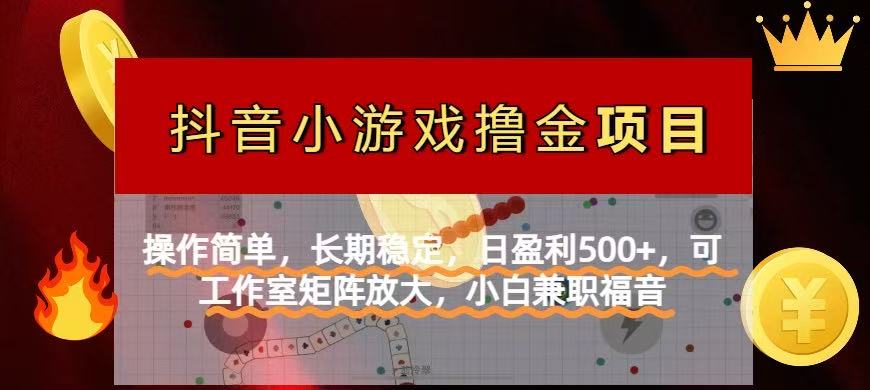 (14290期)【抖音小游戏发行人计划项目】操作简单,长期稳定,日盈利500+,可工作...-创业联盟