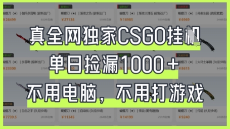 真全网独家CSGO挂G,单日捡漏1k+【揭秘】-创业联盟